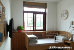 家眷看望仍是老年人外出就医、购物都极